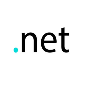 .net Domain